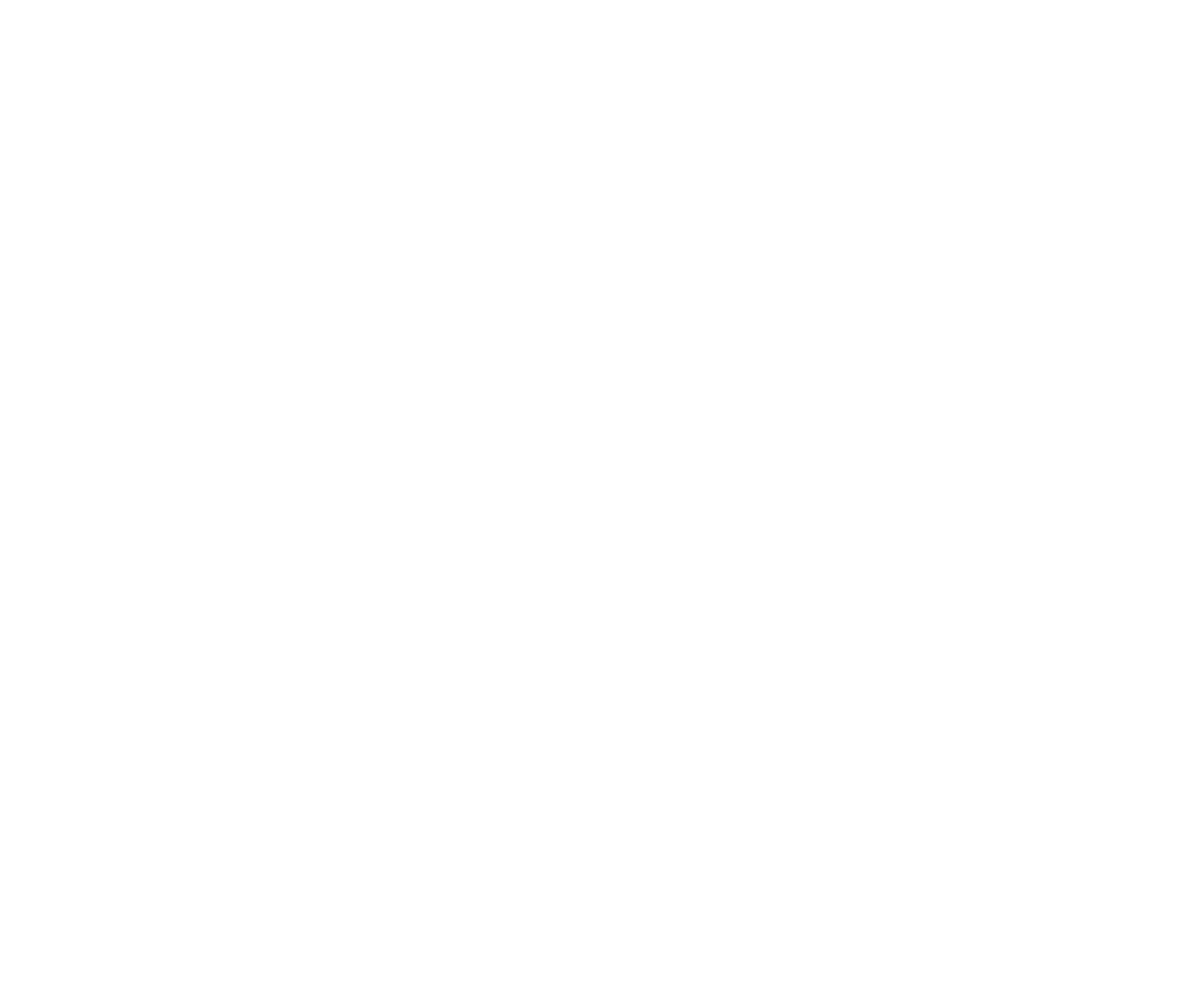 DACH & HOLZ BAU